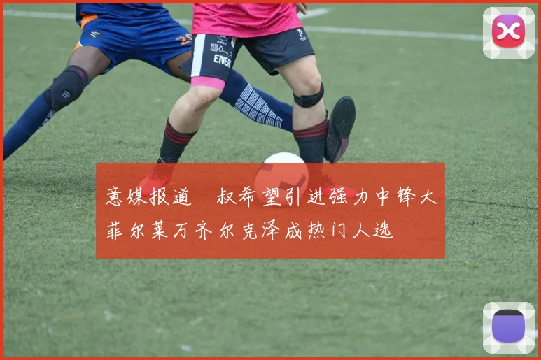 意媒报道囧叔希望引进强力中锋大菲尔莱万齐尔克泽成热门人选