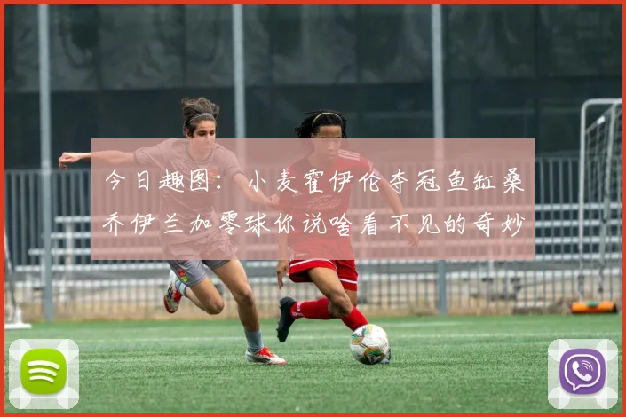 今日趣图：小麦霍伊伦夺冠鱼缸桑乔伊兰加零球你说啥看不见的奇妙瞬间