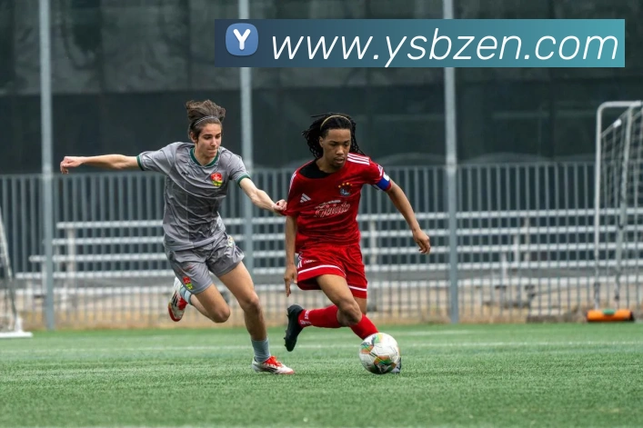 易胜博平台生态图